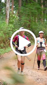 BIB:  <button type="button" onclick="openModal(26817049)" class="btn btn-primary btn-sm float-right" data-toggle="modal" data-target=".modal-high-quality">
                <i class="fa fa-download"></i> Download
                </button>